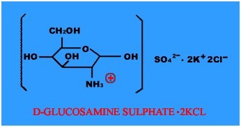 Glucosamine Sulfate