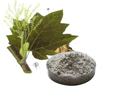 Resveratrol